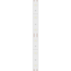 TIRA 2835 MACROLED BCO FRIO IP66 - DC12V - 12W - 60 LED, ROLLO 5 METROS