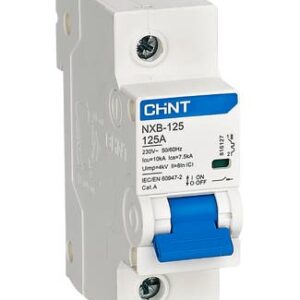 Int. Termomagnético CHINT NXB-125, In:100A, Icn:10kA, Curva C, 1-polo
