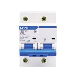 Int. Termomagnético CHINT NXB-125, In:100A, Icn:10kA, Curva C, 2-polos