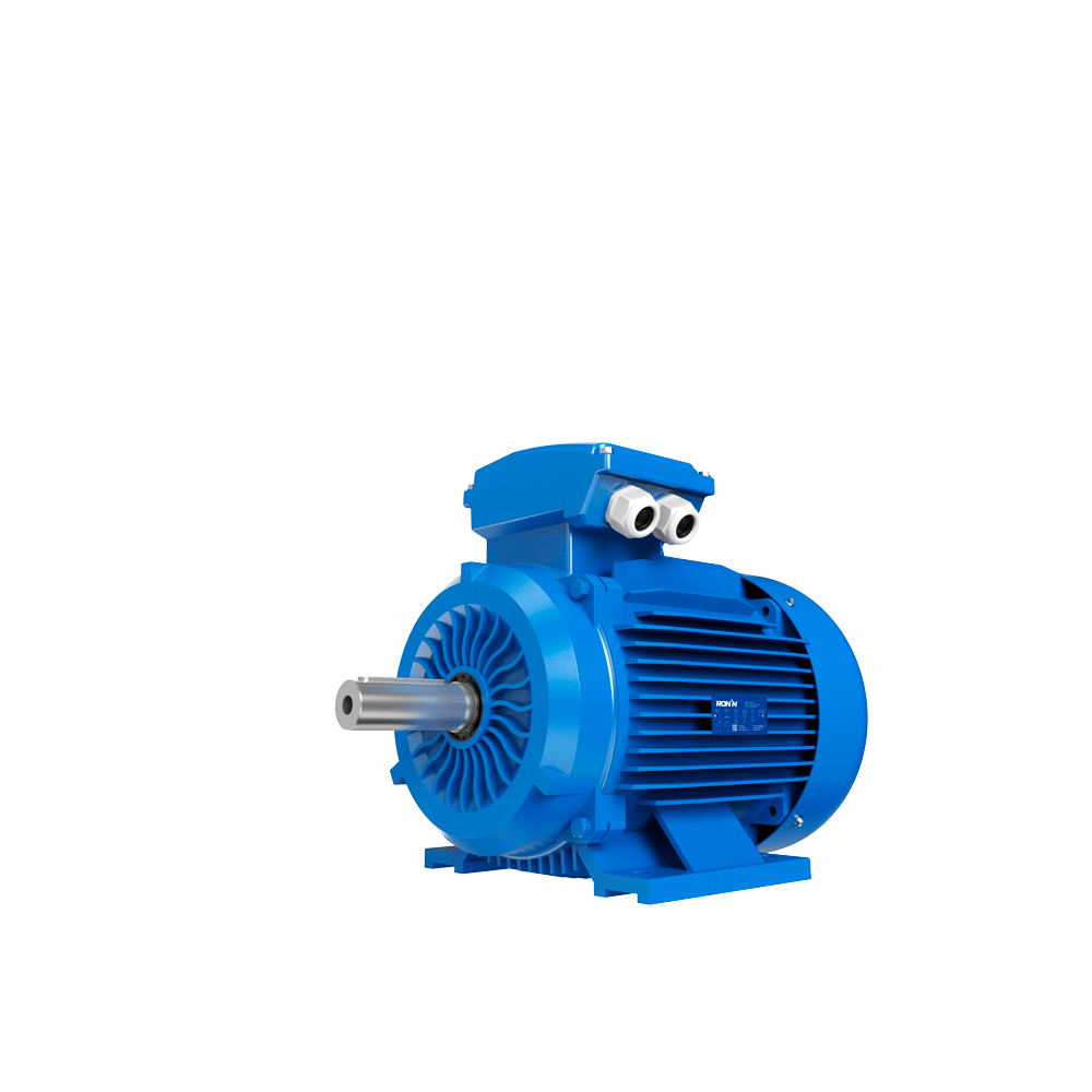 Motor Ronin Trifásico - Eficiencia: IE2 - Polos: 2 (3000 RPM) - Cuerpo de fundición de Hierro - 15 HP / 11 kW - Carcasa: 160M1 - B3 - Tensión: 380/660V