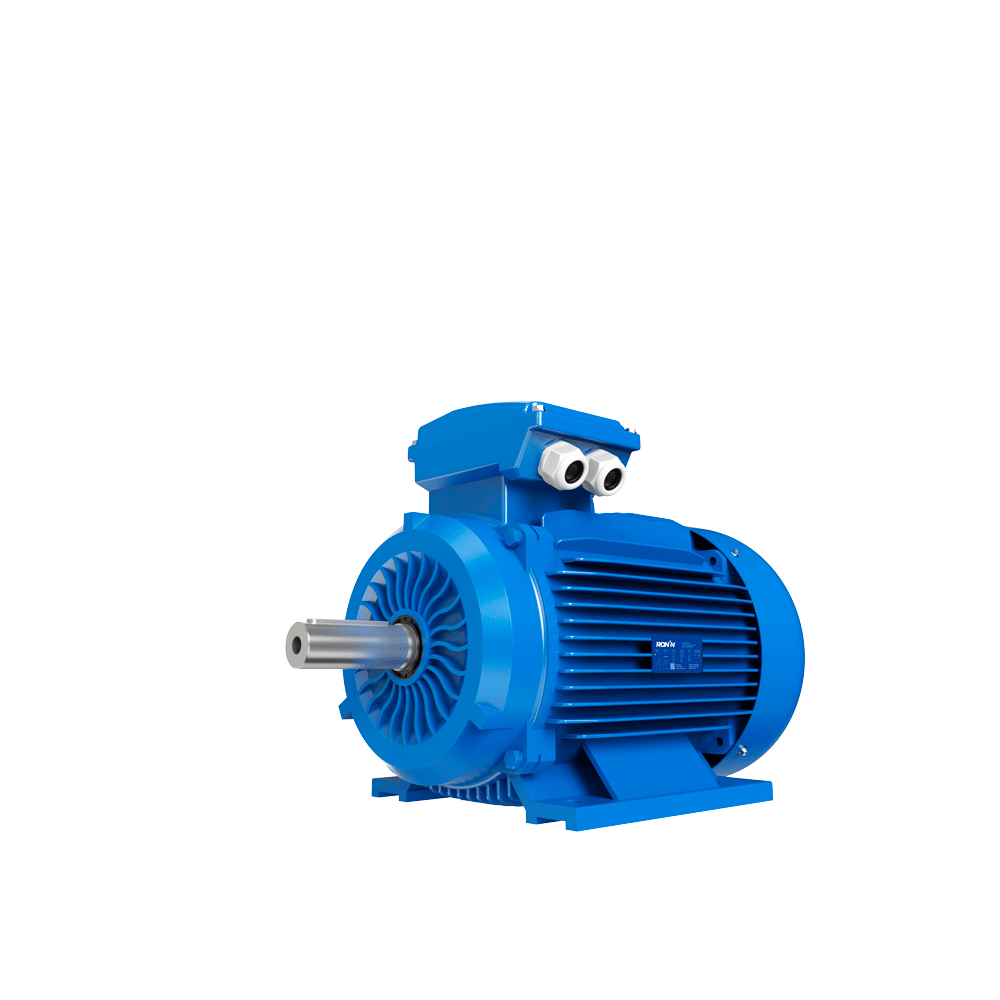 Motor Ronin Trifásico - Eficiencia: IE2 - Polos: 2 (3000 RPM) - Cuerpo de fundición de Hierro - 25 HP / 18,5 kW - Carcasa: 160L - B3 - Tensión: 380/660V